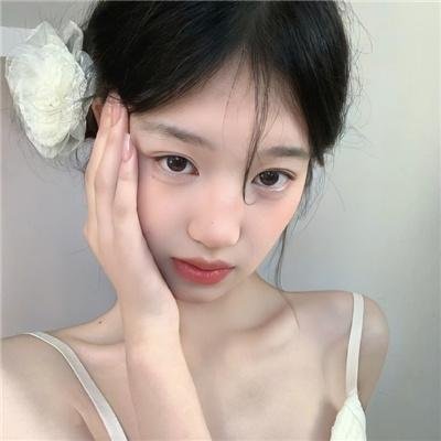 完美的独裁国家